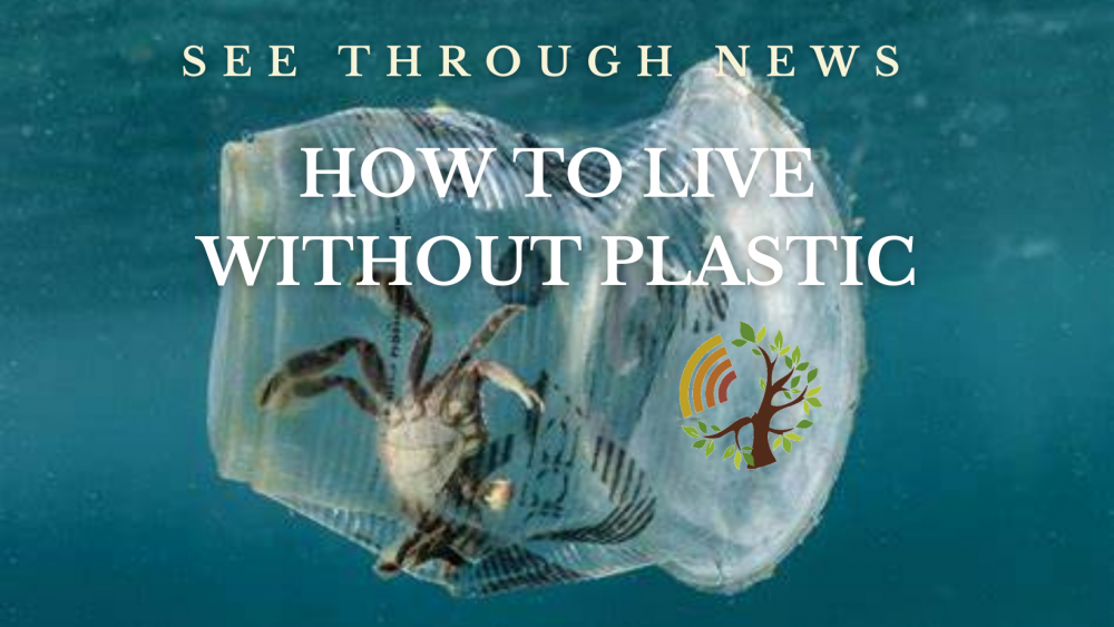 plastic pollution climate problem solution how to live