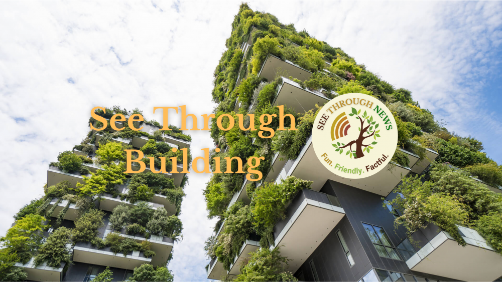 building architecture insulation carbon drawdown sustainable
