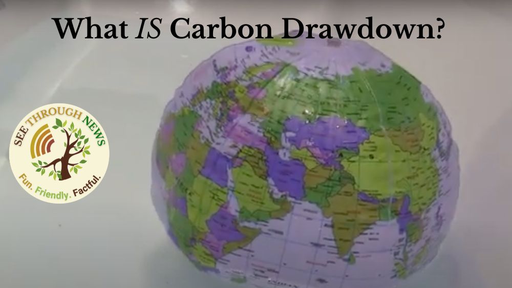 carbon drawdown project drawdown effective climate action see through news