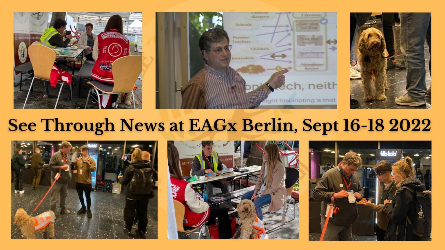 Effective Altruism EAGX Berlin STN see through news effective climate action acvitism