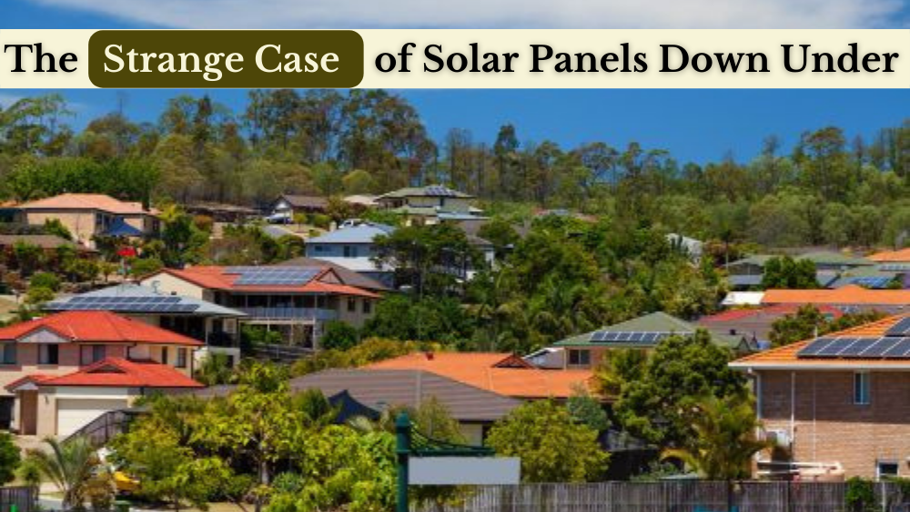 solar panels rooftop solar government incentives Australia behavioural psychology