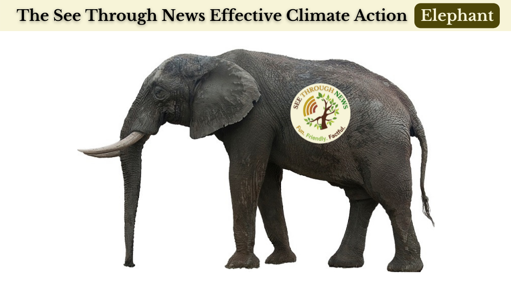 Effective Climate Action Elephant See Through News Carbon Drawdown