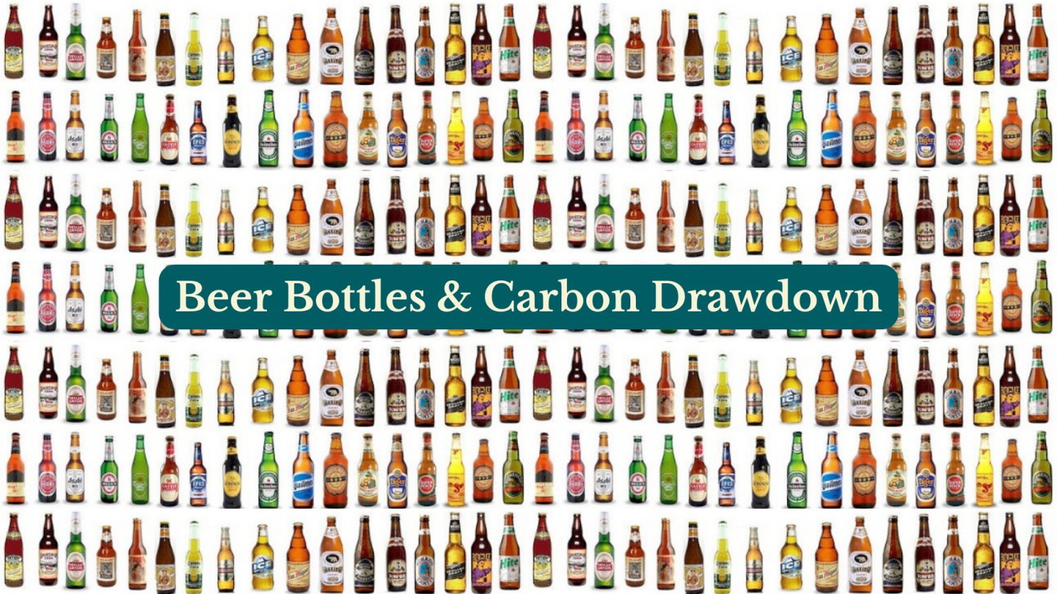 Beer bottles carbon drawdown effective climate action campaign