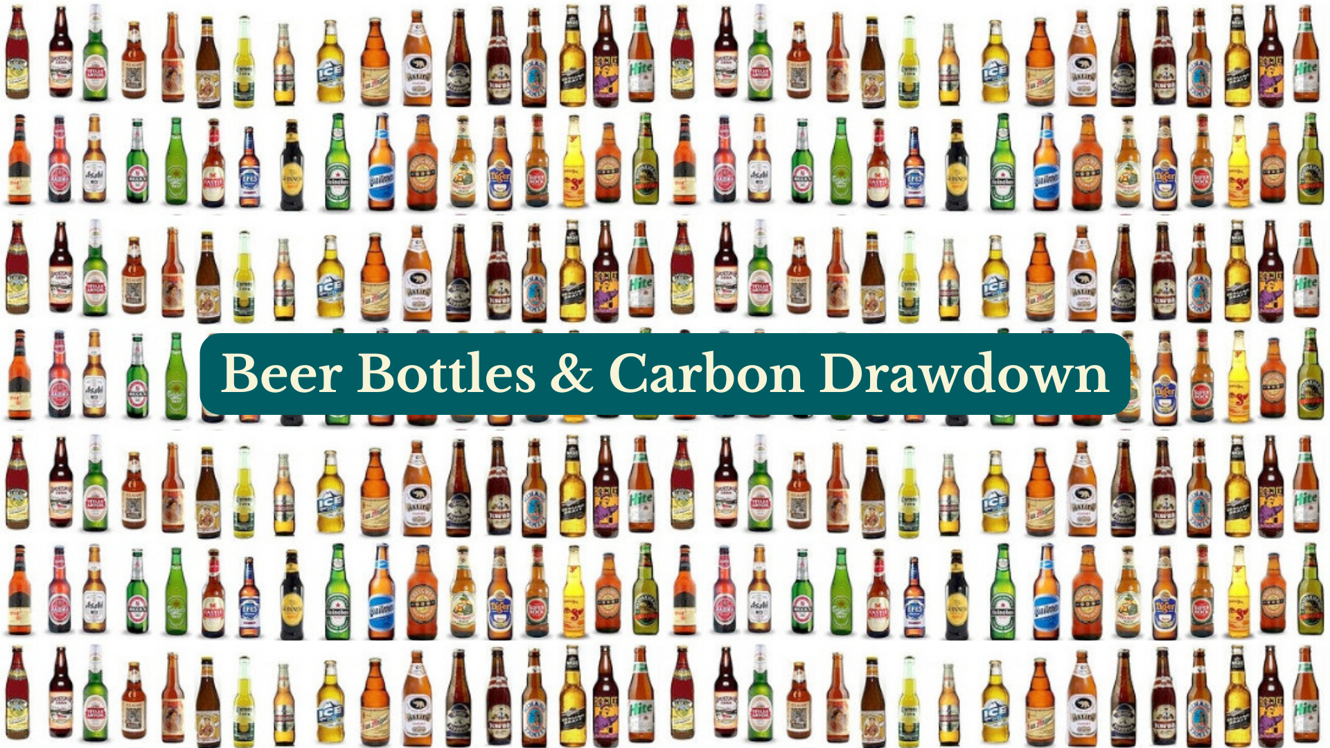 Beer bottles carbon drawdown effective climate action campaign