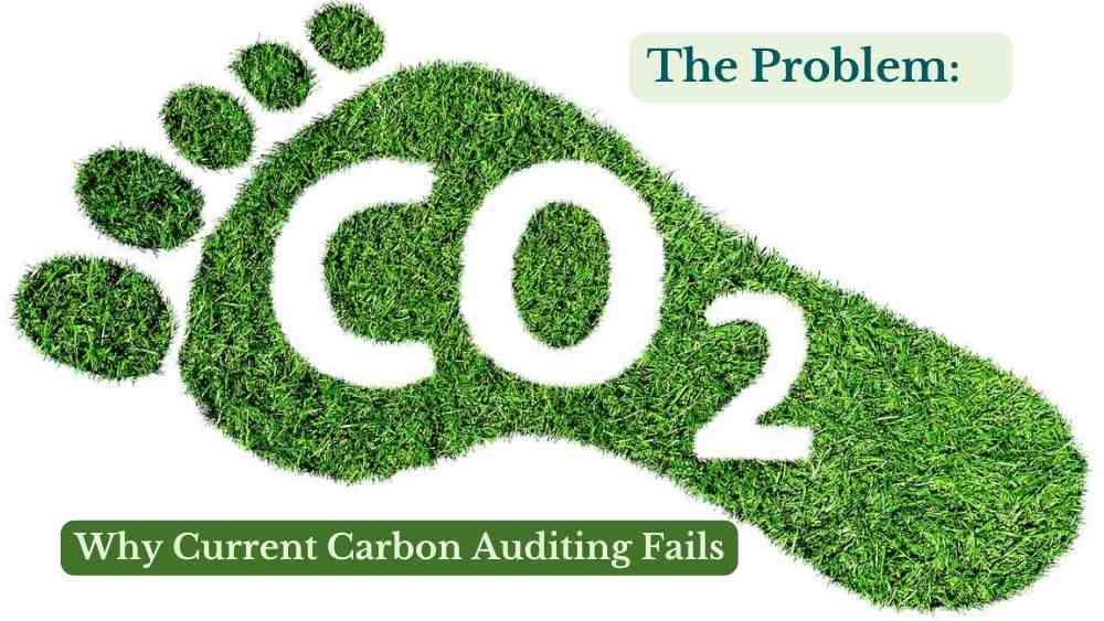carbon audit carbon credit carbon accounting carbon trading see through carbon problem