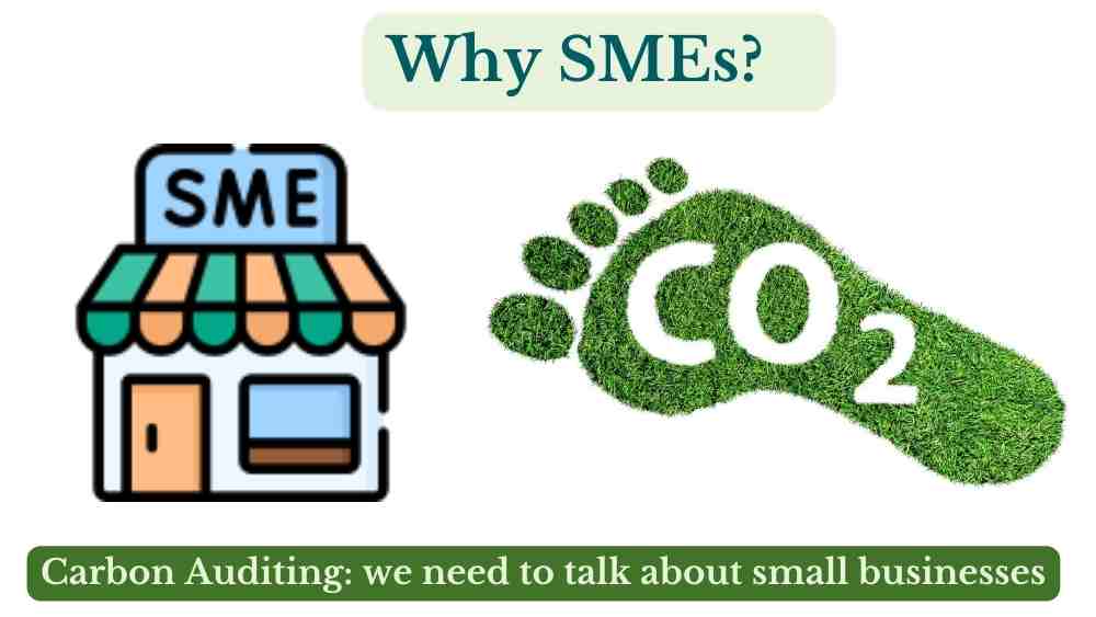 SME small medium size enterprise carbon auditing carbon accounting carbon offsetting economics carbon drawdown
