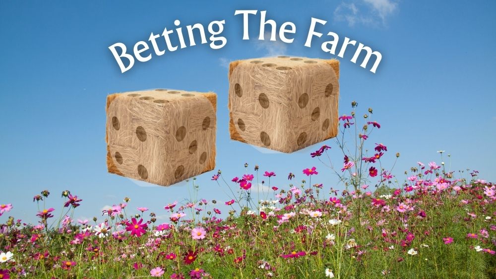 betting the farm reality tv format entertainment carbon drawdown carbon reduction casting challenge