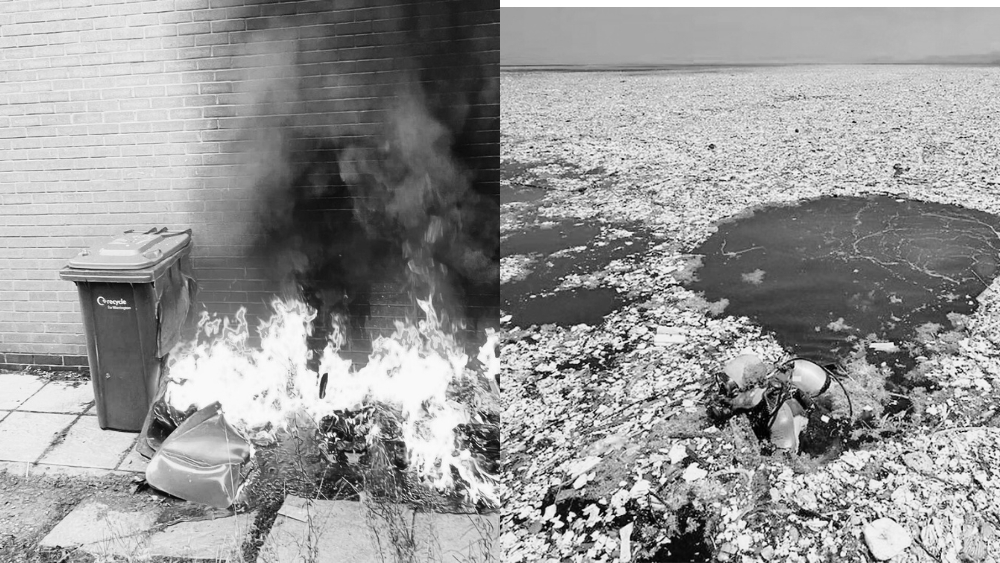 waste bin management recycling rubbish trash policy incineration ban