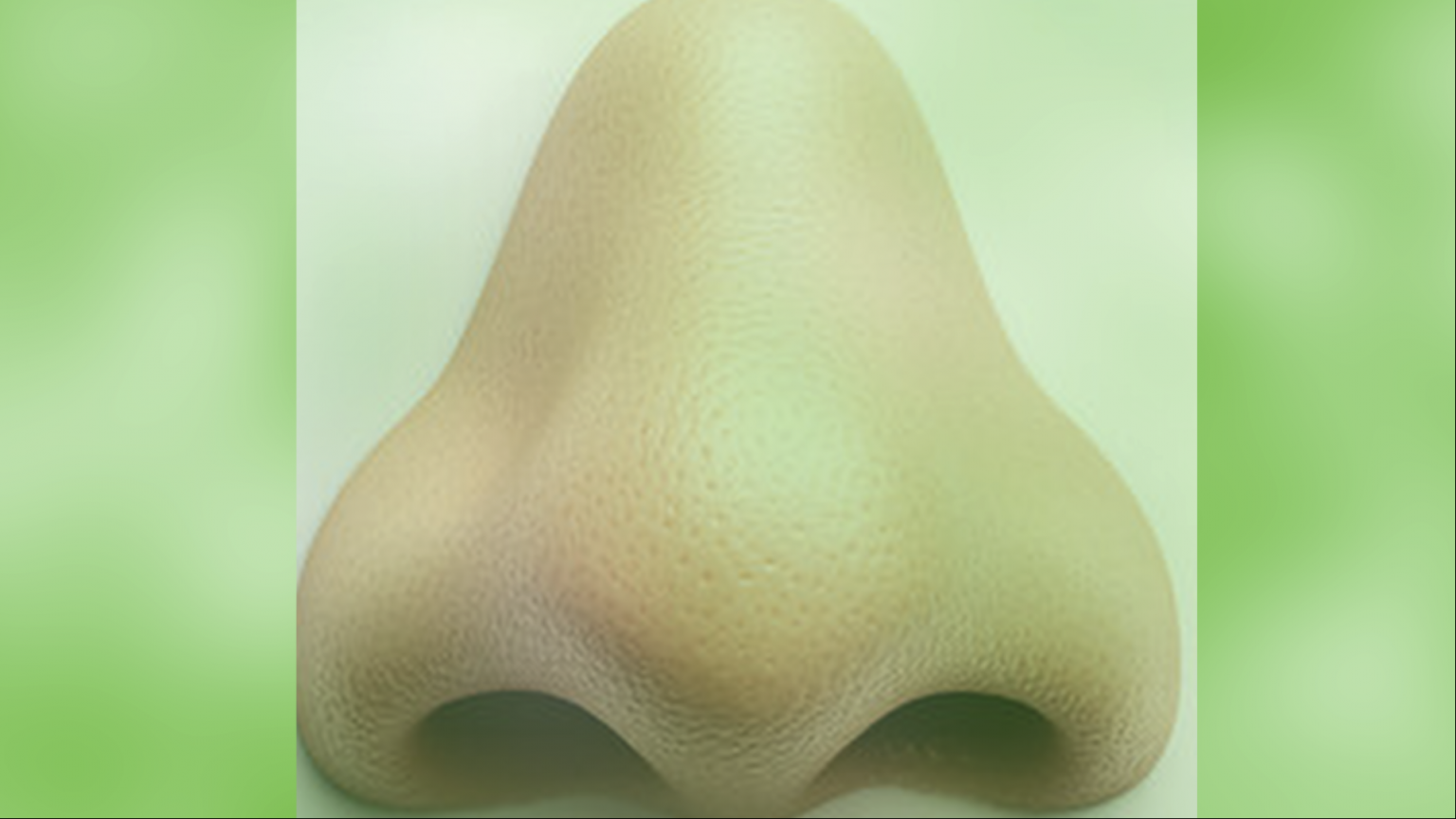 GREENWASH SNIFF TEST BUSINESS carbon drawdown sustainability esg csr impact investing sustainable finance