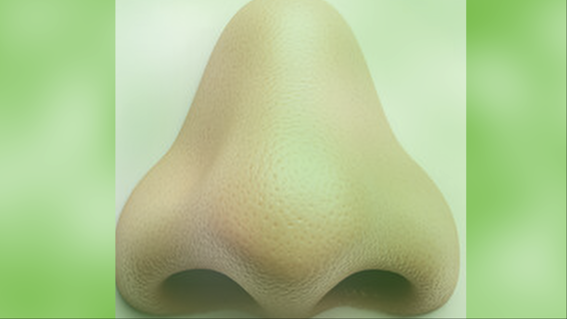 GREENWASH SNIFF TEST BUSINESS carbon drawdown sustainability esg csr impact investing sustainable finance