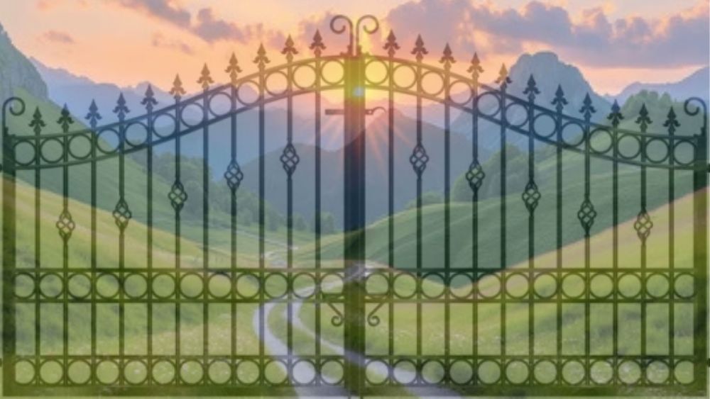 climate action funding gatekeepers integrity carbon drawdown